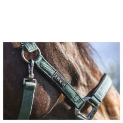 Halster Anky Grooming Donkergroen -Weath Paard Winkel halster anky grooming donkergroen 1500x1500 183529