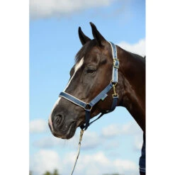 Halster Bucas Dublin Donkerblauw-zilver -Weath Paard Winkel halster bucas dublin donkerblauw zilver 1500x1500 112112