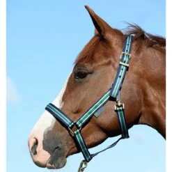 Halster Bucas Dublin Donkerblauw -Weath Paard Winkel halster bucas dublin donkerblauw 1500x1500 112100