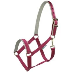 Halster Bucas Dublin Donkerpaars-grijs