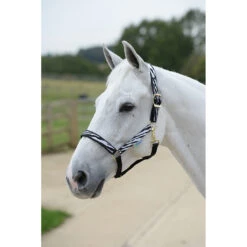 Halster Bucas Dublin Zebra -Weath Paard Winkel halster bucas dublin zebra 1500x1500 112135