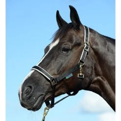 Halster Bucas Dublin Zwart-zilver -Weath Paard Winkel halster bucas dublin zwart zilver 1500x1500 112089