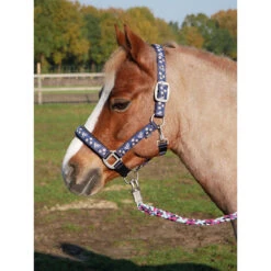 Halster Busse Flying Pony Donkerblauw