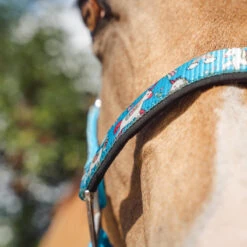 Halster Epplejeck EJSweetie Lichtblauw -Weath Paard Winkel halster epplejeck ejsweetie lichtblauw 1500x1500 165772
