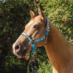 Halster Epplejeck EJSweetie Lichtblauw -Weath Paard Winkel halster epplejeck ejsweetie lichtblauw 1500x1500 165773
