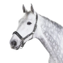 Halster Eskadron Classic Sports Donkergrijs-wit