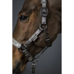 Halster Eskadron Classic Sports Double Pin Satin Crystal Groen -Weath Paard Winkel halster eskadron classic sports double pin satin crystal groen 1500x1500 157359