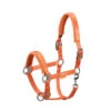 Halster Eskadron Classic Sports Double Pin Satin Crystal Oranje