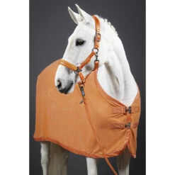 Halster Eskadron Classic Sports Double Pin Satin Crystal Oranje -Weath Paard Winkel halster eskadron classic sports double pin satin crystal oranje 1500x1500 157355