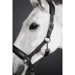 Halster Eskadron Classic Sports Pin Buckle Groen -Weath Paard Winkel halster eskadron classic sports pin buckle groen 1500x1500 157349