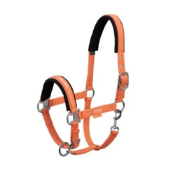 Halster Eskadron Classic Sports Pin Buckle Oranje