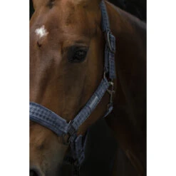 Halster Eskadron Essence Velvet Stamp Double Pin Donkerblauw -Weath Paard Winkel halster eskadron essence velvet stamp double pin donkerblauw 1500x1500 171540