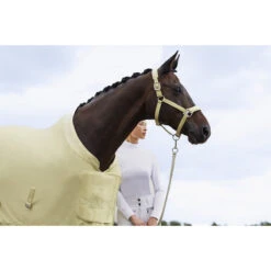 Halster Eskadron Platinum Pure Double Pin Glitter Mesh Lichtgeel -Weath Paard Winkel halster eskadron platinum pure double pin glitter mesh lichtgeel 1500x1500 184415