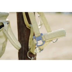 Halster Eskadron Platinum Pure Double Pin Glitter Mesh Lichtgeel -Weath Paard Winkel halster eskadron platinum pure double pin glitter mesh lichtgeel 1500x1500 184417