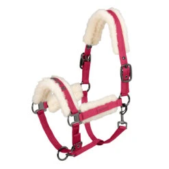 Halster Eskadron Reflexx Doublepin Glossy Evo Wool Rood