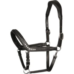 Halster Harry's Horse Crystal Anatomic Zwart
