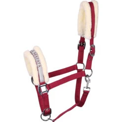 Halster Harry's Horse Lyrics VII Rood