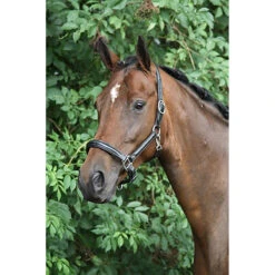 Halster Horka Leer Zwart-zilver