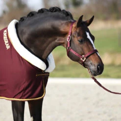 Halster Horsegear Aurum Donkerrood -Weath Paard Winkel halster horsegear aurum donkerrood 1500x1500 139113