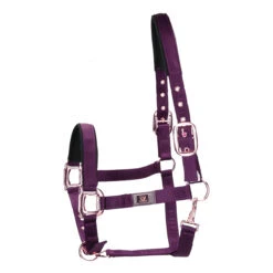 Halster Horsegear Aurum Paars