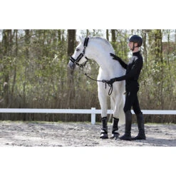 Halster Horsegear Leopard Grijs-zwart -Weath Paard Winkel halster horsegear leopard grijs zwart 1500x1500 121672