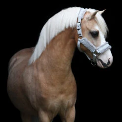 Halster Horsegear Reno Grijs -Weath Paard Winkel halster horsegear reno grijs 1500x1500 123529