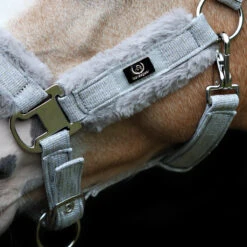 Halster Horsegear Reno Grijs -Weath Paard Winkel halster horsegear reno grijs 1500x1500 123530