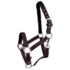 Halster Horsegear Satin Bruin