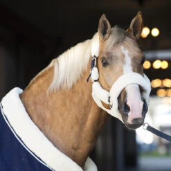 Halster Horsegear Suave Naturel -Weath Paard Winkel halster horsegear suave naturel 1500x1500 103010