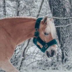 Halster Horsegear Suave Rosegold Donkergroen -Weath Paard Winkel halster horsegear suave rosegold donkergroen 1500x1500 115931