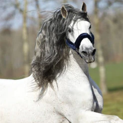 Halster Horsegear Velvet Donkerblauw -Weath Paard Winkel halster horsegear velvet donkerblauw 1500x1500 123540