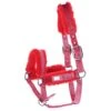 Halster Horsegear Velvet Roze