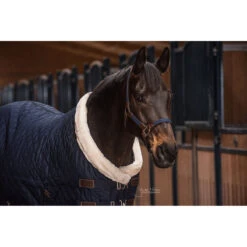 Halster Kentucky Gevlochten Donkerblauw -Weath Paard Winkel halster kentucky gevlochten donkerblauw 1500x1500 137549