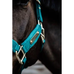 Halster Kentucky Velvet Donkergroen -Weath Paard Winkel halster kentucky velvet donkergroen 1500x1500 144729