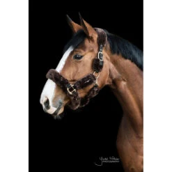 Halster Kentucky Wol Bruin -Weath Paard Winkel halster kentucky wol bruin 1500x1500 137525