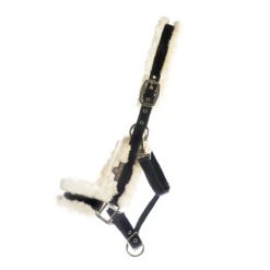 Halster Kentucky Wol Lichtbruin