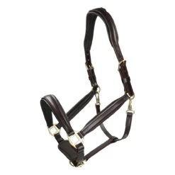 Halster Passier Leer Bruin