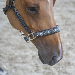 PÉNÉLOPE Halster Pénélope Pearl Zwart -Weath Paard Winkel halster penelope pearl zwart 1500x1500 187852