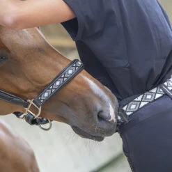 PÉNÉLOPE Halster Pénélope Pearl Zwart -Weath Paard Winkel halster penelope pearl zwart 1500x1500 187853