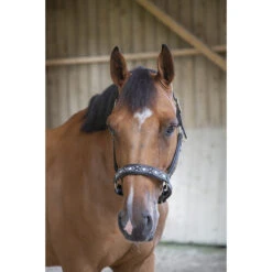 PÉNÉLOPE Halster Pénélope Pearl Zwart -Weath Paard Winkel halster penelope pearl zwart 1500x1500 187855