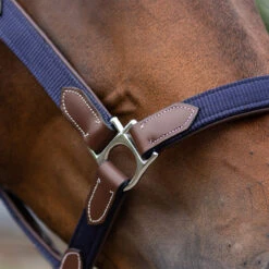 Halster QHP Combi Donkerbruin-blauw -Weath Paard Winkel halster qhp combi donkerbruin blauw 1500x1500 101234