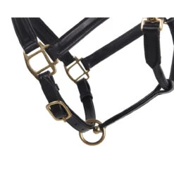 Halster QHP Leer Zwart 5 Halster QHP Leer Zwart -Weath Paard Winkel halster qhp leer zwart 1500x1500 101191