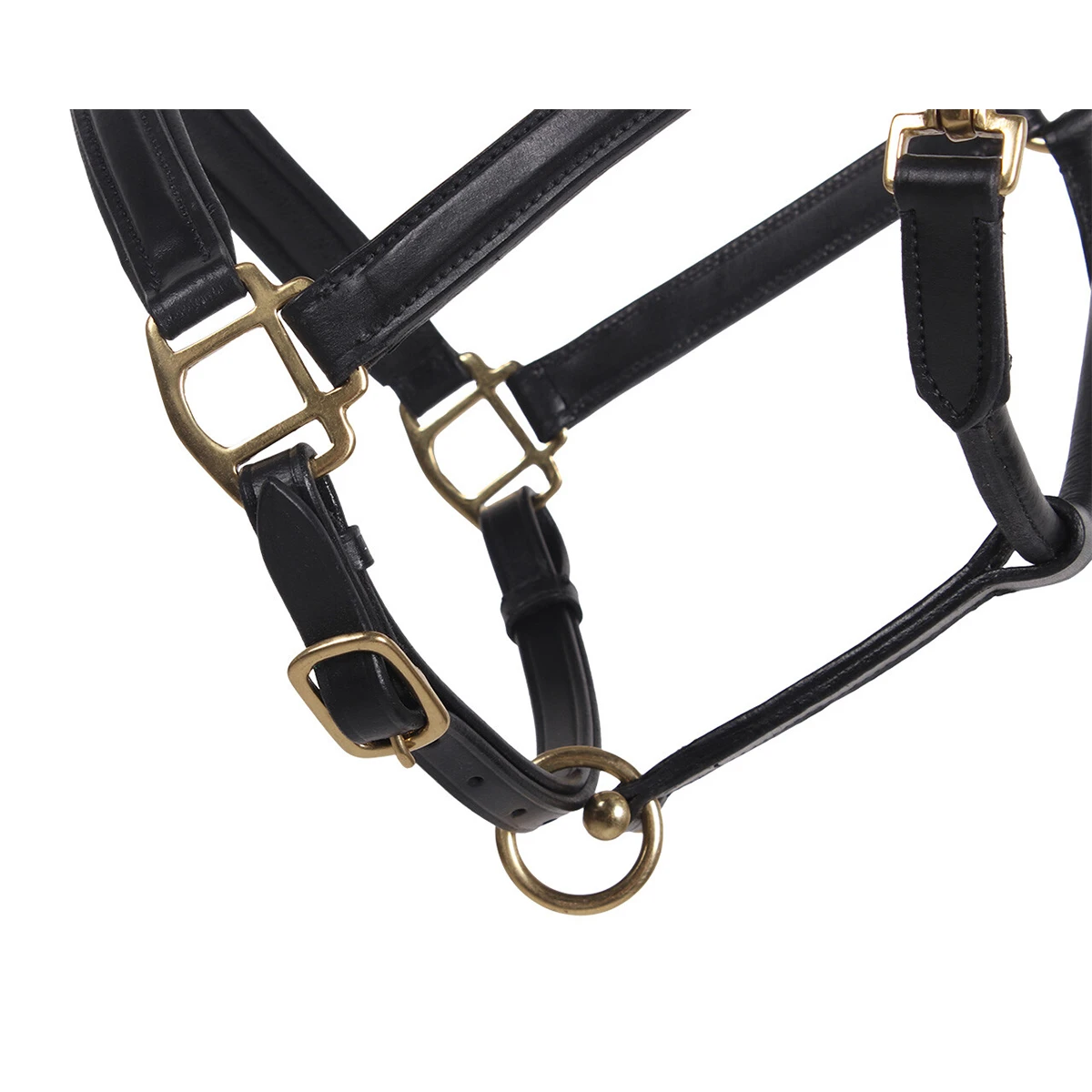 Halster QHP Leer Zwart 3 Halster QHP Leer Zwart - Afbeelding 3