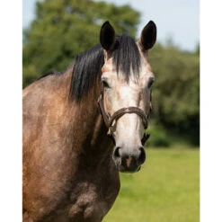 Halster QHP Lupine Leer Middenbruin-beige -Weath Paard Winkel halster qhp lupine leer middenbruin beige 1500x1500 101227