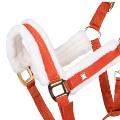 Halster QHP Menton Oranje -Weath Paard Winkel halster qhp menton oranje 1500x1500 186379