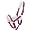 Halster QHP Menton Paars