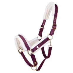 Halster QHP Menton Paars