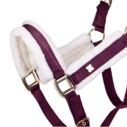Halster QHP Menton Paars -Weath Paard Winkel halster qhp menton paars 1500x1500 186376