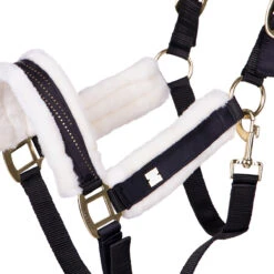 Halster QHP Menton Zwart -Weath Paard Winkel halster qhp menton zwart 1500x1500 186373