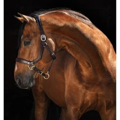 Halster Rambo Micklem Bruin -Weath Paard Winkel halster rambo micklem bruin 1500x1500 142650
